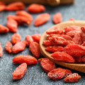 Fruit de goji de baie de goji bio avec des nutritions